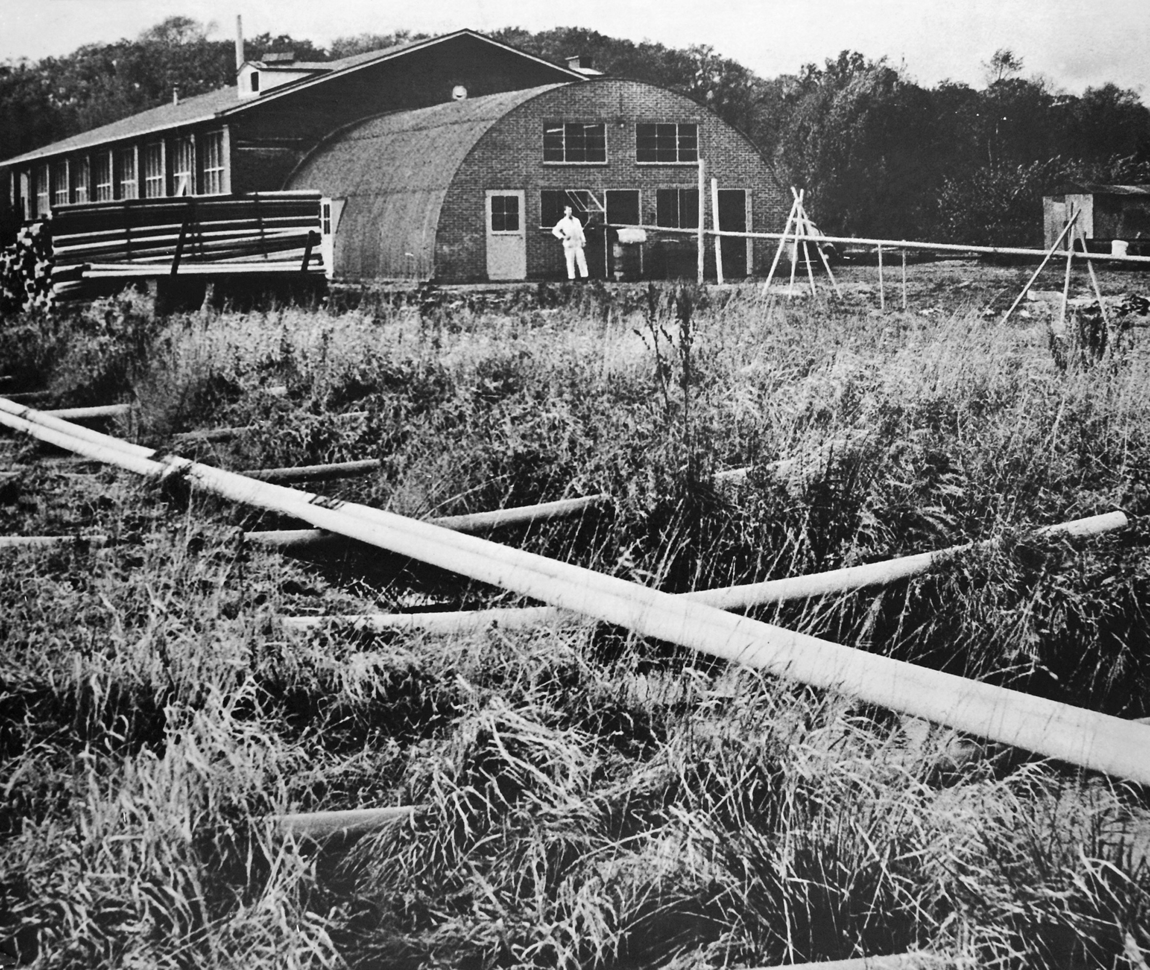 Засновано в 1955 році